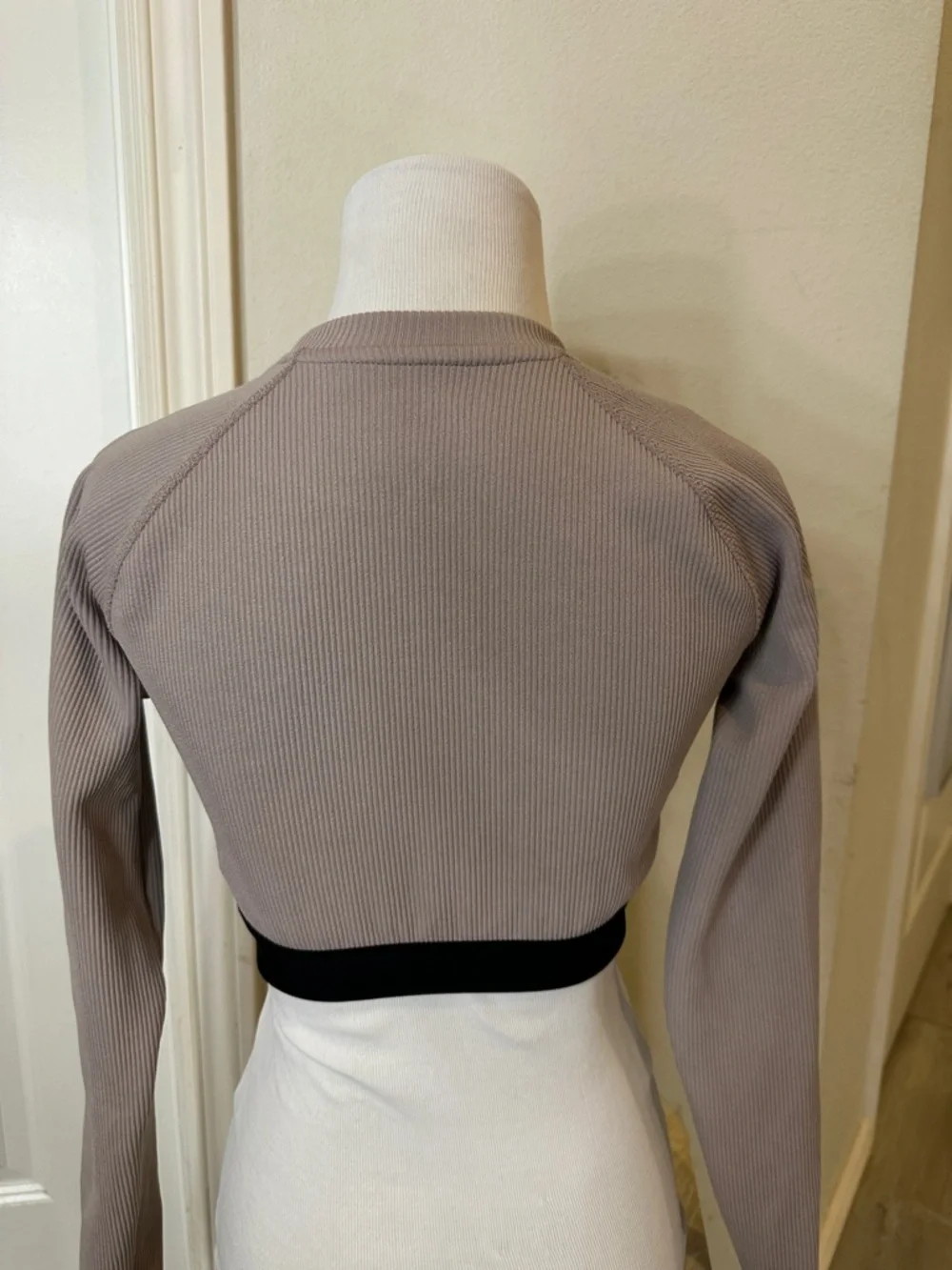 Nike Cropped Long-Sleeve Top in Taupe with Black Elastic